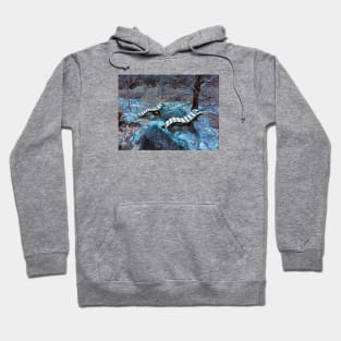 Togetherness / Swiss Artwork Photography Hoodie